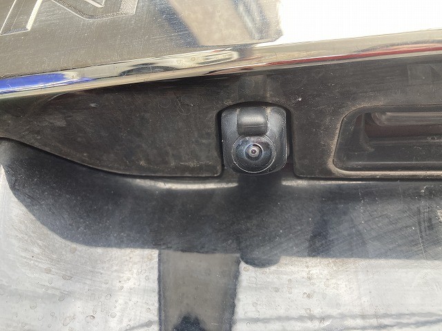 NOAH HYBRID SI ＷxB-213